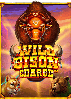 สำรวจวิธี ทดลอง เล่น cash or cash แบบเข้าใจง่าย